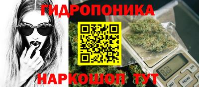 дживик Можга