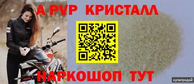 дживик Можга