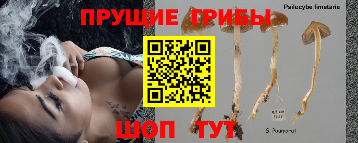 Псилоцибиновые грибы мицелий Верхний Уфалей